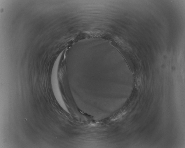 X0000087411010200705181352