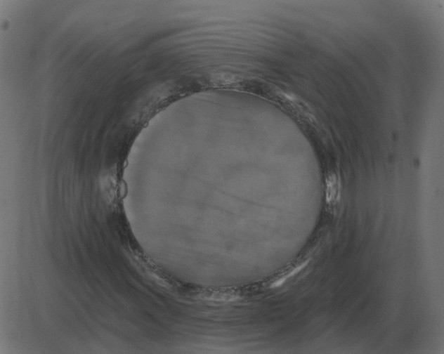 X0000087411011200705181352