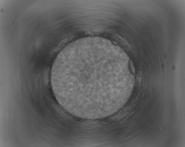 X0000087411012200705181352