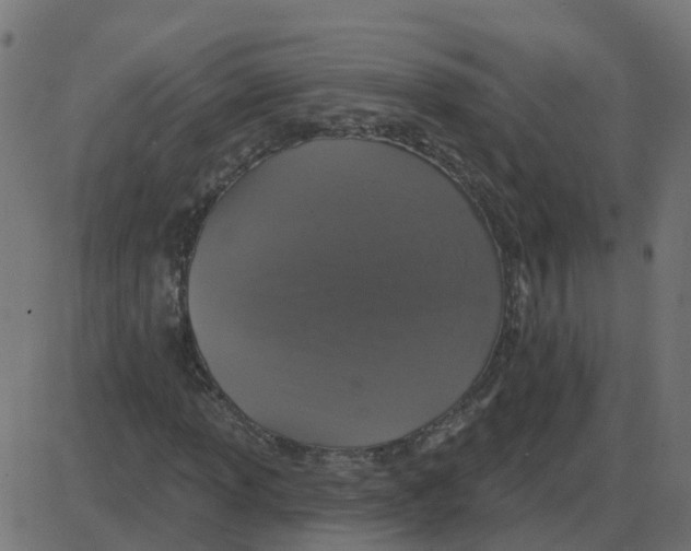 X0000087411013200705181352