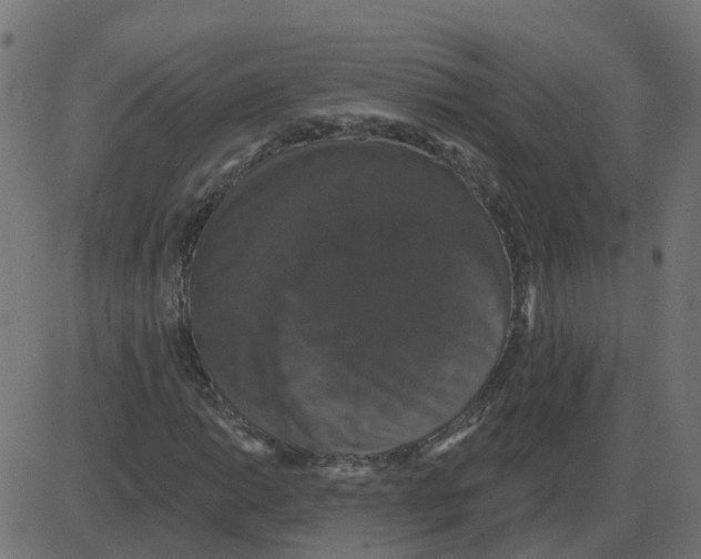 X0000087411014200705181352