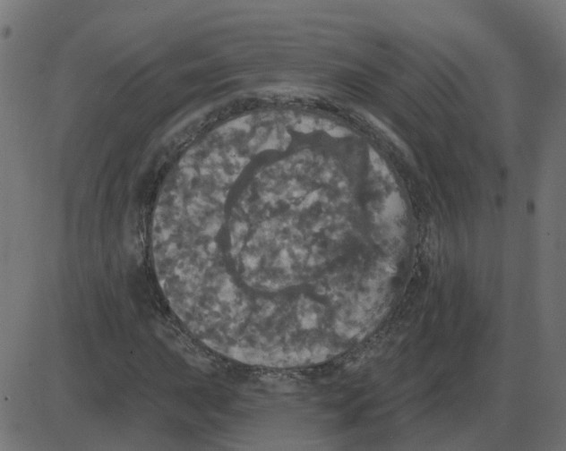 X0000087411015200705181352