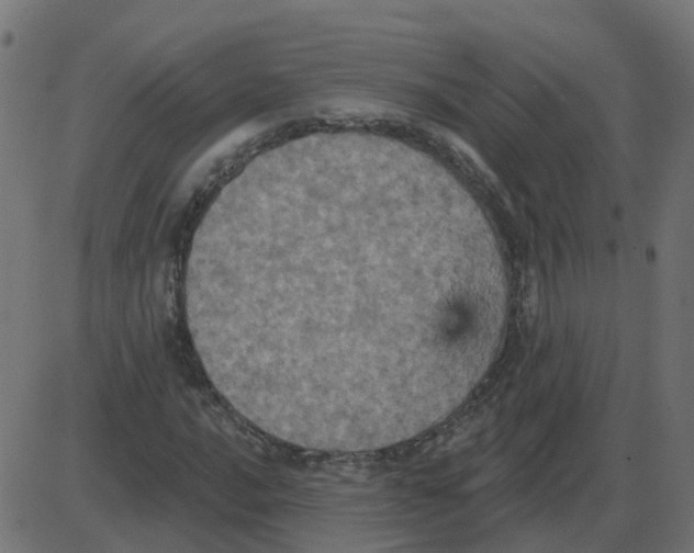 X0000087411016200705181352