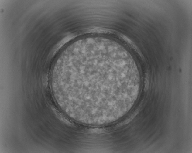 X0000087411017200705181352