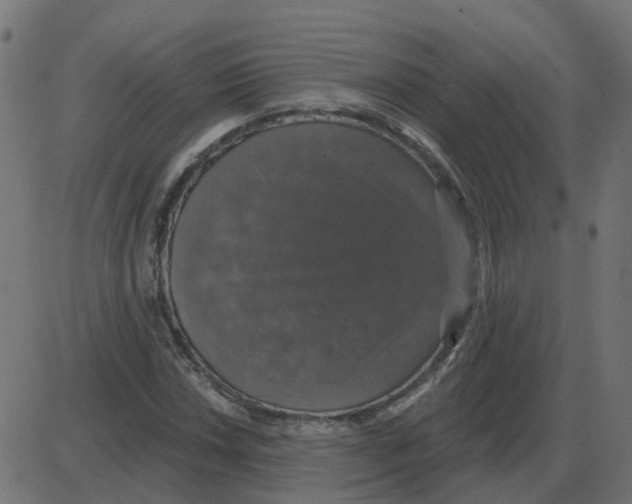 X0000087411018200705181352