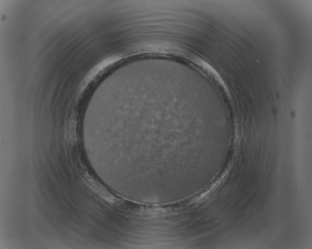 X0000087411019200705181352