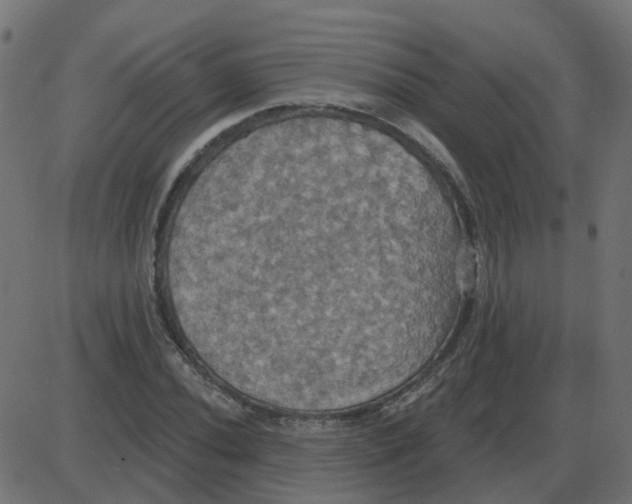 X0000087411020200705181352