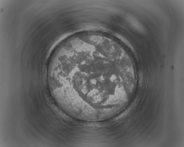 X0000087411021200705181352