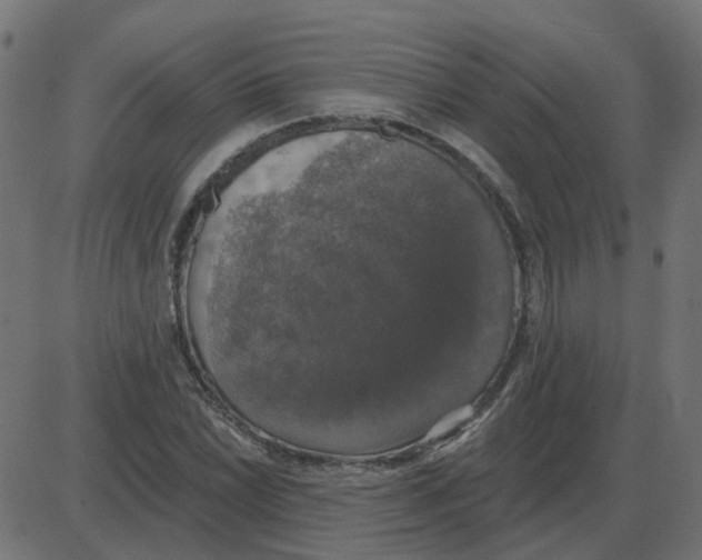 X0000087411022200705181352