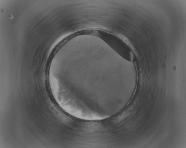 X0000087411024200705181352