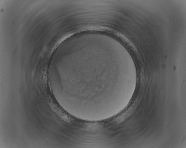 X0000087411025200705181352