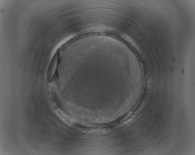 X0000087411026200705181352