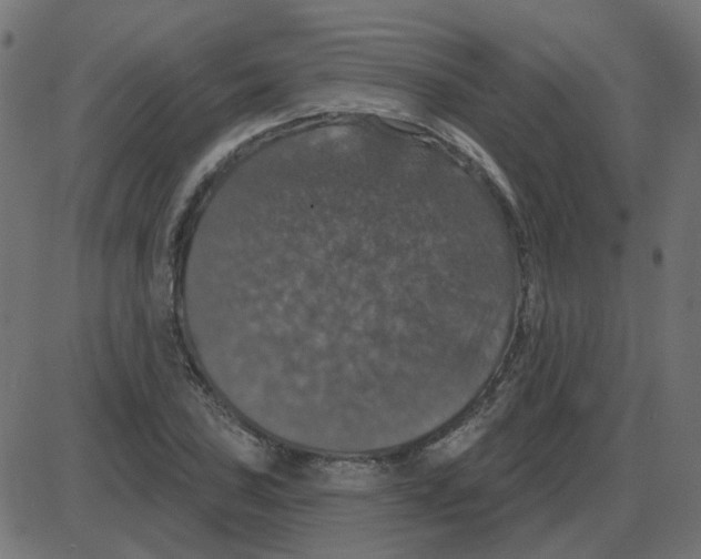 X0000087411027200705181352