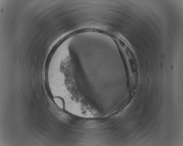 X0000087411028200705181352