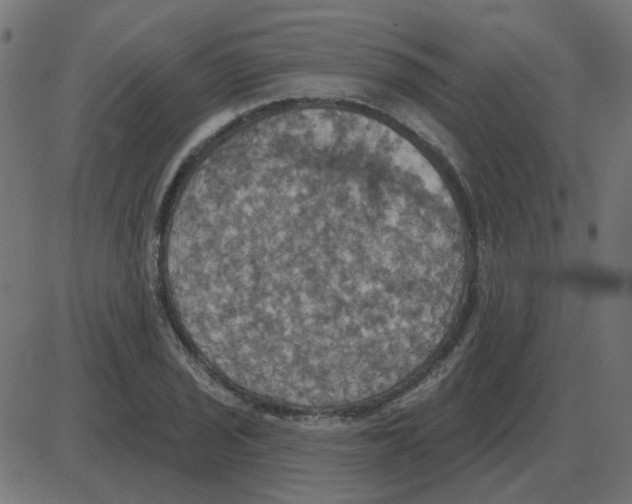 X0000087411029200705181352