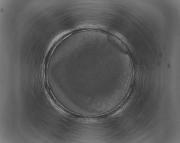 X0000087411030200705181352