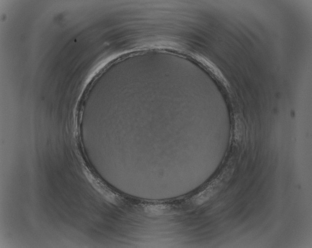 X0000087411031200705181352