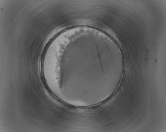 X0000087411032200705181352