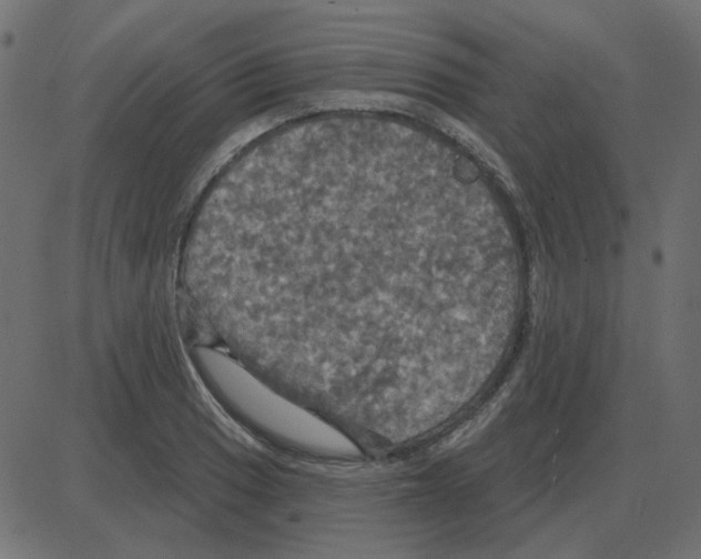 X0000087411033200705181352