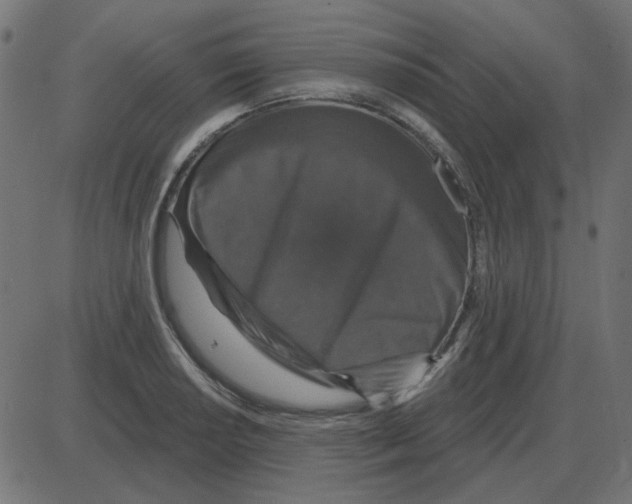 X0000087411034200705181352