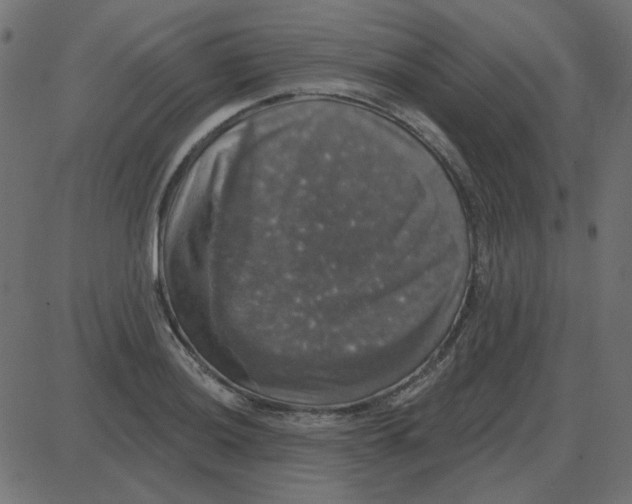 X0000087411036200705181352