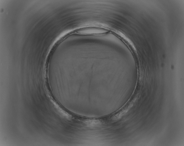 X0000087411037200705181352