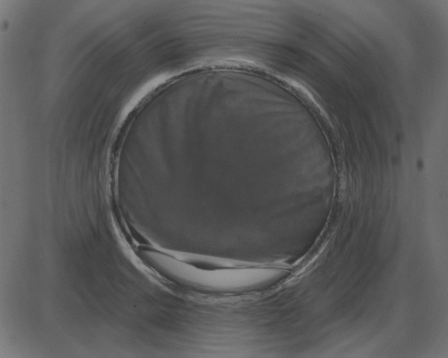 X0000087411038200705181352