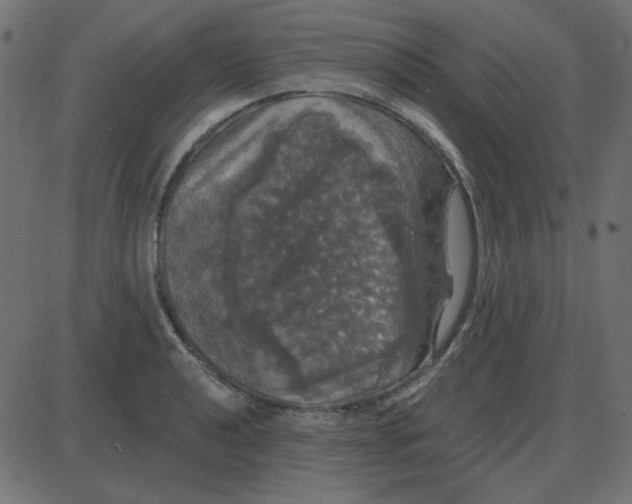 X0000087411040200705181352