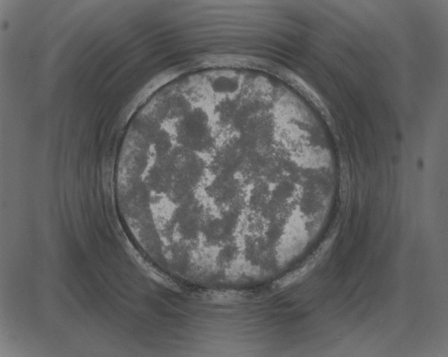 X0000087411041200705181352