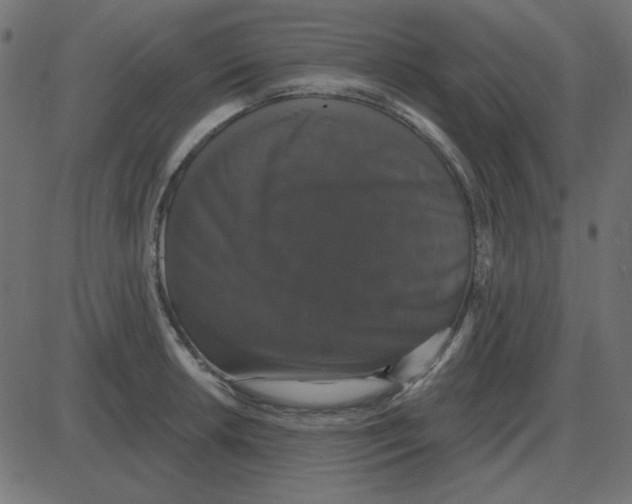 X0000087411042200705181352