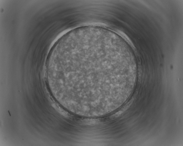 X0000087411044200705181352