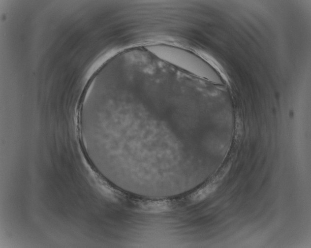 X0000087411047200705181352