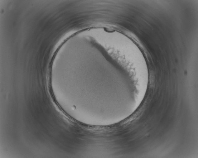 X0000087411048200705181352