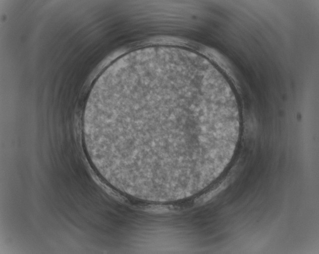 X0000087411049200705181352