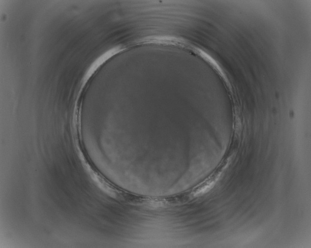 X0000087411050200705181352