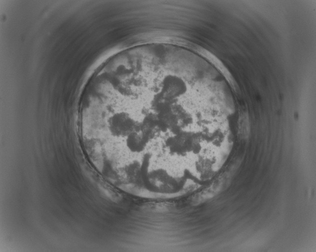 X0000087411051200705181353