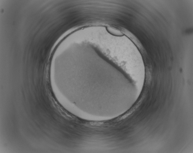 X0000087411052200705181353