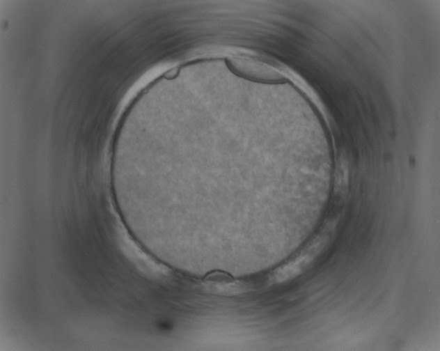 X0000087411053200705181353