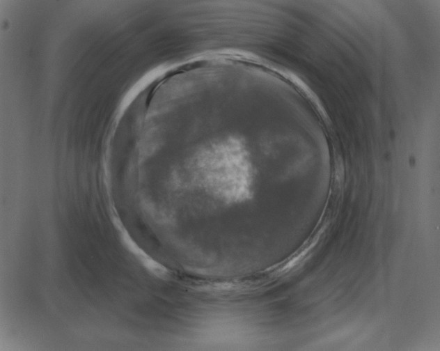 X0000087411054200705181353