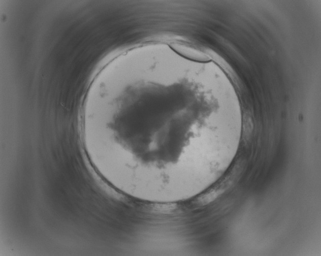 X0000087411055200705181353