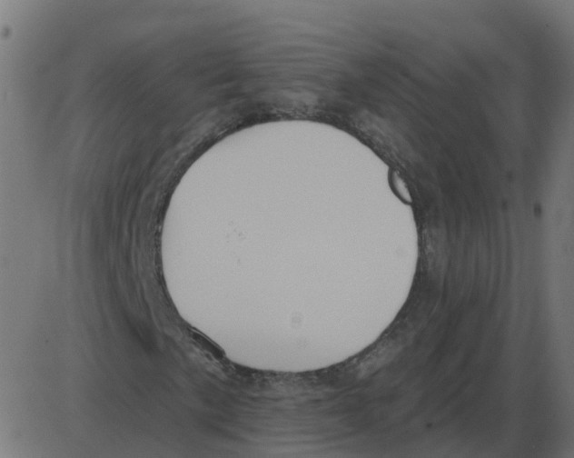 X0000087411057200705181352