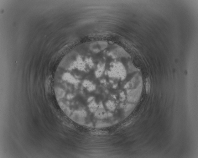 X0000087411059200705181352