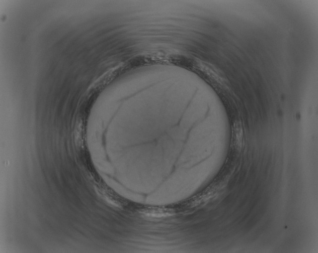 X0000087411060200705181352