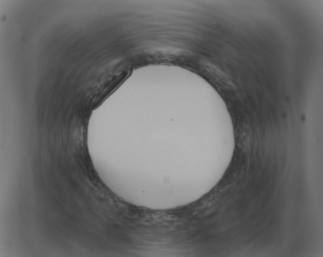 X0000087411061200705181352