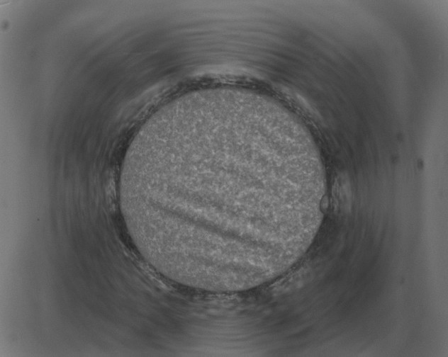 X0000087411062200705181352