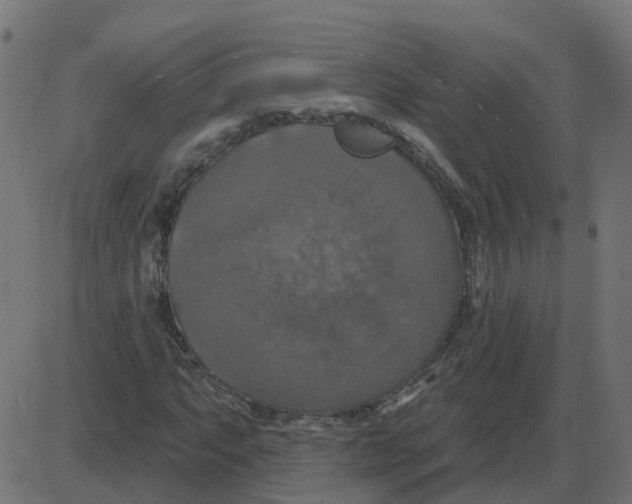 X0000087411063200705181352