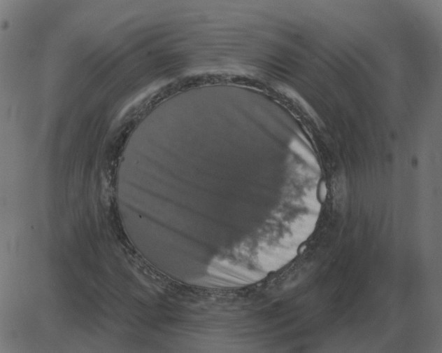 X0000087411064200705181352