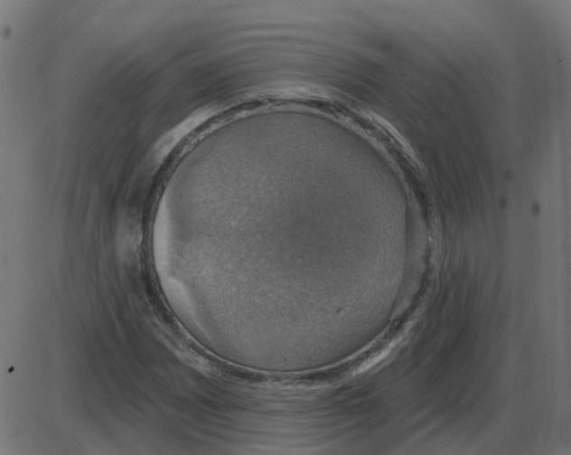 X0000087411065200705181352