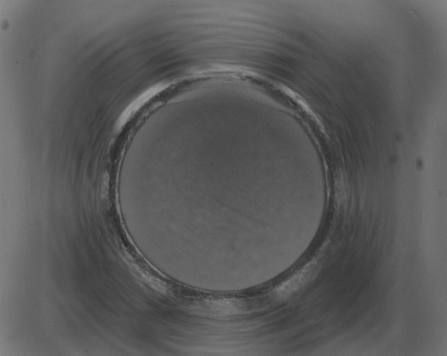 X0000087411066200705181352