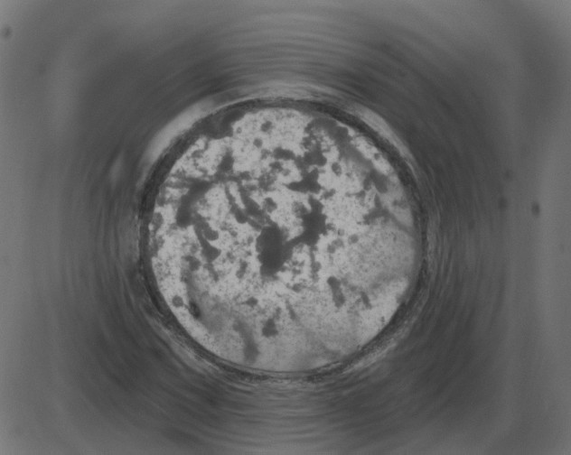 X0000087411067200705181352